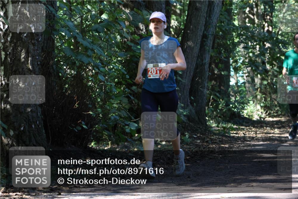 28.09.2025 - 33. Volkslauf durch das schöne Alstertal Strokosch-Dieckow http://msf.ph/oto/8971616 28.09.2025 12:17:29 Laufen 201 meine-sportfotos.de