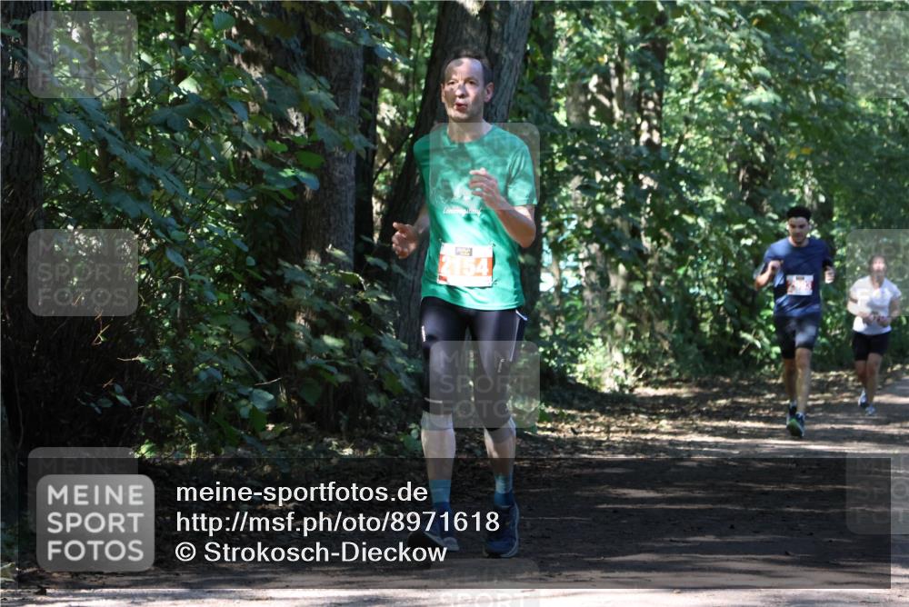 28.09.2025 - 33. Volkslauf durch das schöne Alstertal Strokosch-Dieckow http://msf.ph/oto/8971618 28.09.2025 12:17:31 Laufen 2154 meine-sportfotos.de