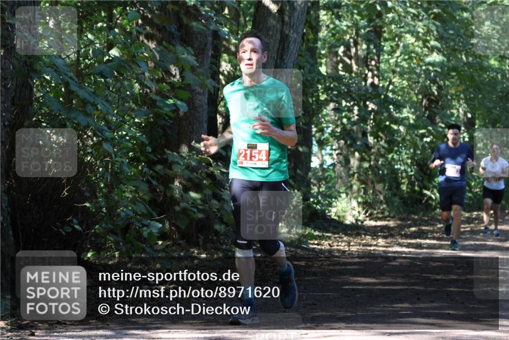 28.09.2025 - 33. Volkslauf durch das schöne Alstertal Strokosch-Dieckow http://msf.ph/oto/8971620 28.09.2025 12:17:32 Laufen 2154 meine-sportfotos.de