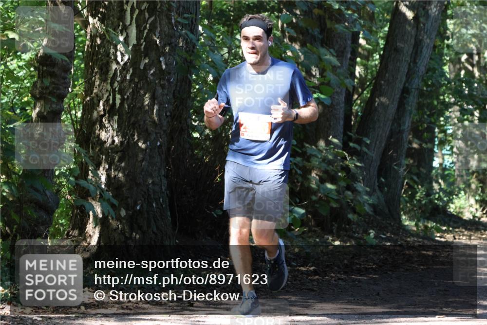 28.09.2025 - 33. Volkslauf durch das schöne Alstertal Strokosch-Dieckow http://msf.ph/oto/8971623 28.09.2025 12:17:39 Laufen  meine-sportfotos.de