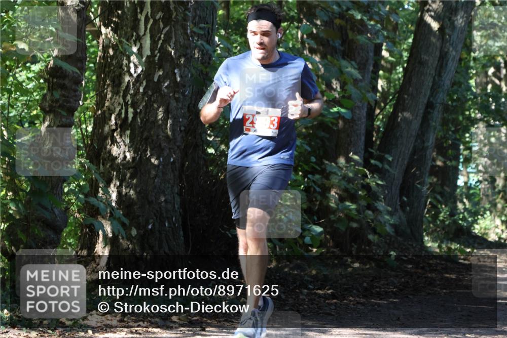 28.09.2025 - 33. Volkslauf durch das schöne Alstertal Strokosch-Dieckow http://msf.ph/oto/8971625 28.09.2025 12:17:39 Laufen 2993, 1 meine-sportfotos.de