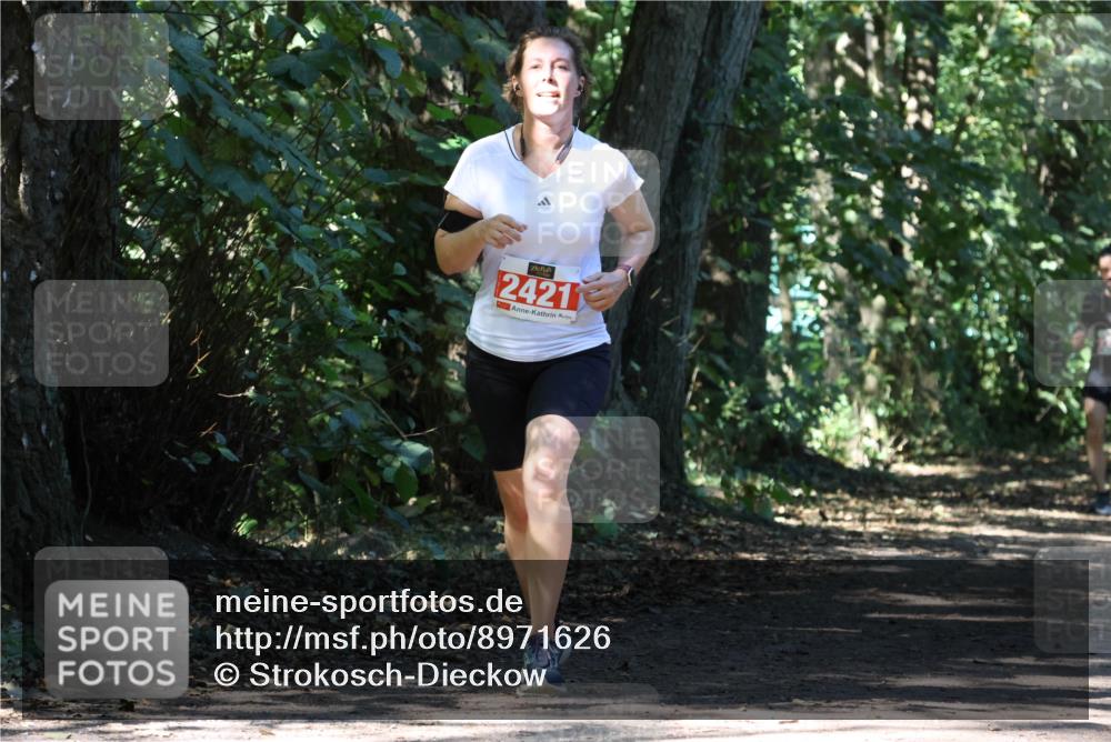 28.09.2025 - 33. Volkslauf durch das schöne Alstertal Strokosch-Dieckow http://msf.ph/oto/8971626 28.09.2025 12:17:41 Laufen 2421 meine-sportfotos.de