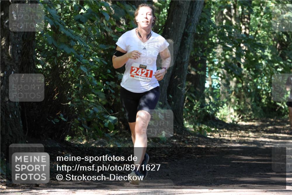 28.09.2025 - 33. Volkslauf durch das schöne Alstertal Strokosch-Dieckow http://msf.ph/oto/8971627 28.09.2025 12:17:41 Laufen 2421 meine-sportfotos.de
