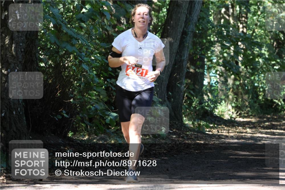 28.09.2025 - 33. Volkslauf durch das schöne Alstertal Strokosch-Dieckow http://msf.ph/oto/8971628 28.09.2025 12:17:41 Laufen 2421 meine-sportfotos.de