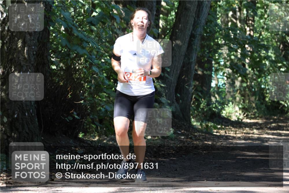 28.09.2025 - 33. Volkslauf durch das schöne Alstertal Strokosch-Dieckow http://msf.ph/oto/8971631 28.09.2025 12:17:41 Laufen  meine-sportfotos.de