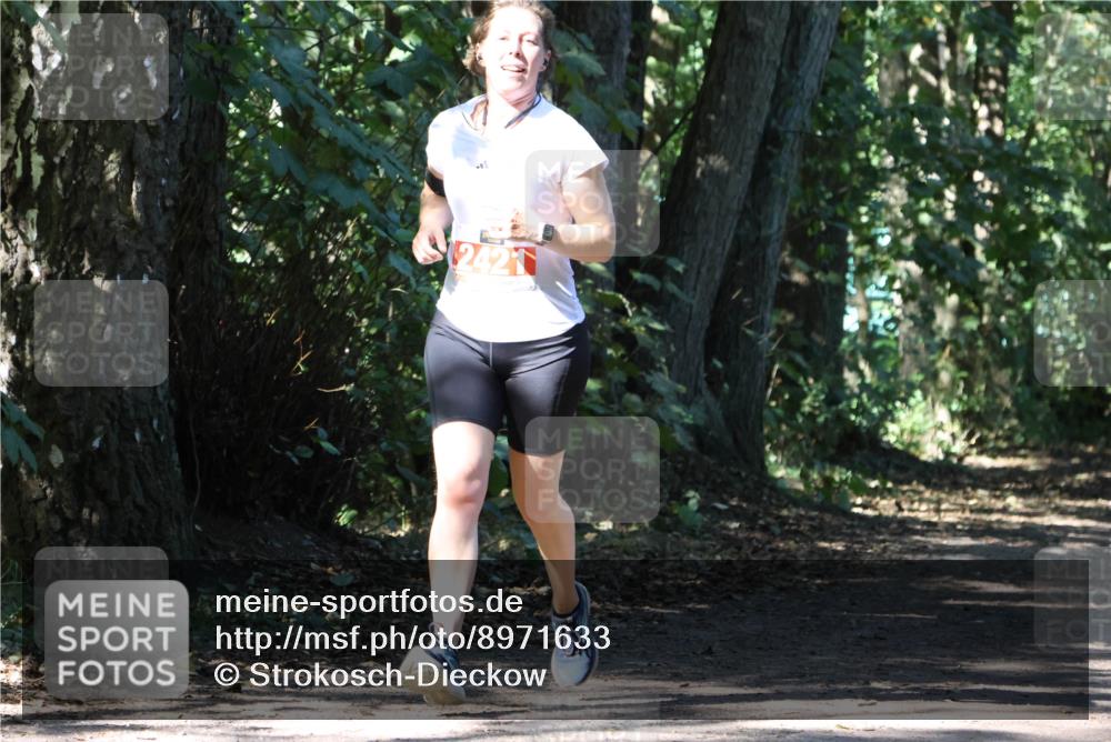 28.09.2025 - 33. Volkslauf durch das schöne Alstertal Strokosch-Dieckow http://msf.ph/oto/8971633 28.09.2025 12:17:42 Laufen  meine-sportfotos.de