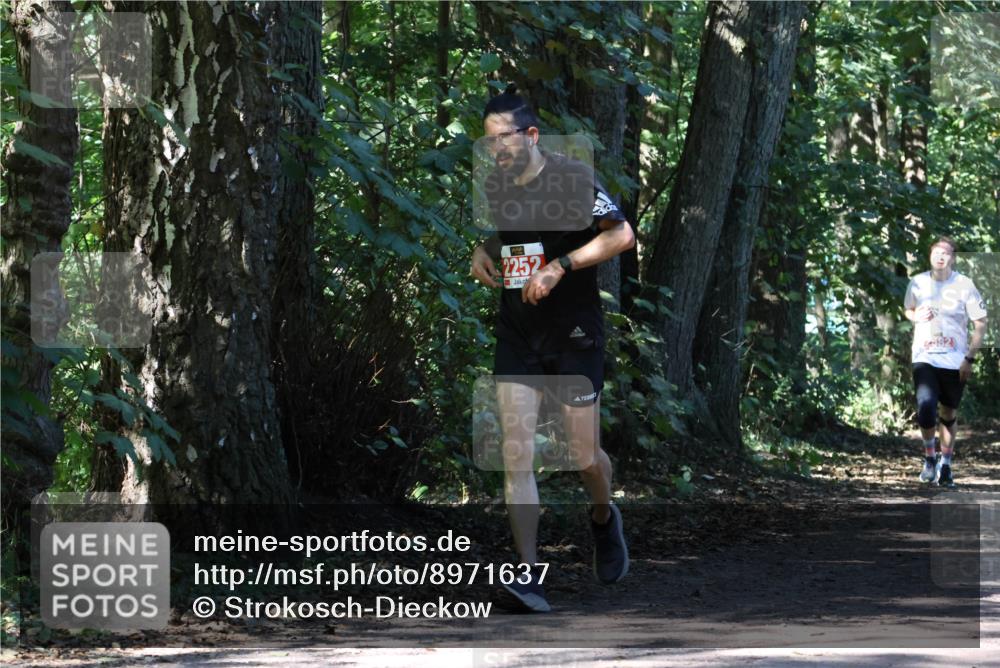 28.09.2025 - 33. Volkslauf durch das schöne Alstertal Strokosch-Dieckow http://msf.ph/oto/8971637 28.09.2025 12:17:50 Laufen 2252 meine-sportfotos.de