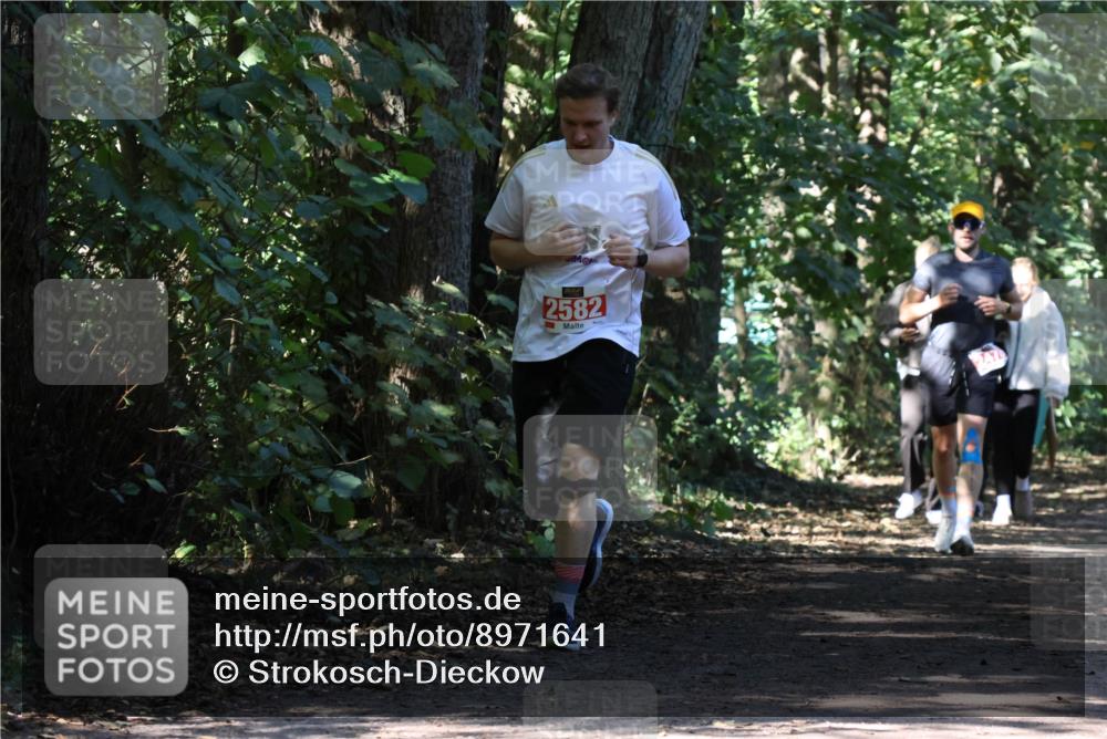 28.09.2025 - 33. Volkslauf durch das schöne Alstertal Strokosch-Dieckow http://msf.ph/oto/8971641 28.09.2025 12:17:55 Laufen 2582 meine-sportfotos.de