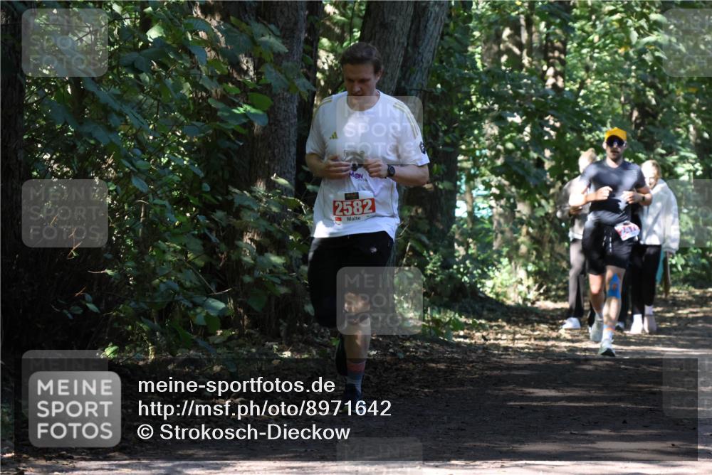 28.09.2025 - 33. Volkslauf durch das schöne Alstertal Strokosch-Dieckow http://msf.ph/oto/8971642 28.09.2025 12:17:55 Laufen 2582, 241 meine-sportfotos.de
