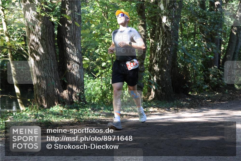 28.09.2025 - 33. Volkslauf durch das schöne Alstertal Strokosch-Dieckow http://msf.ph/oto/8971648 28.09.2025 12:18:03 Laufen 2476 meine-sportfotos.de