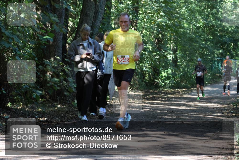 28.09.2025 - 33. Volkslauf durch das schöne Alstertal Strokosch-Dieckow http://msf.ph/oto/8971653 28.09.2025 12:18:07 Laufen 2648 meine-sportfotos.de