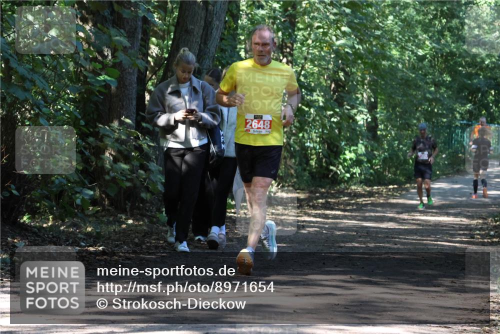 28.09.2025 - 33. Volkslauf durch das schöne Alstertal Strokosch-Dieckow http://msf.ph/oto/8971654 28.09.2025 12:18:07 Laufen 0, 2648, 3 meine-sportfotos.de