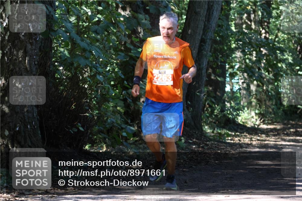 28.09.2025 - 33. Volkslauf durch das schöne Alstertal Strokosch-Dieckow http://msf.ph/oto/8971661 28.09.2025 12:18:24 Laufen 2263 meine-sportfotos.de