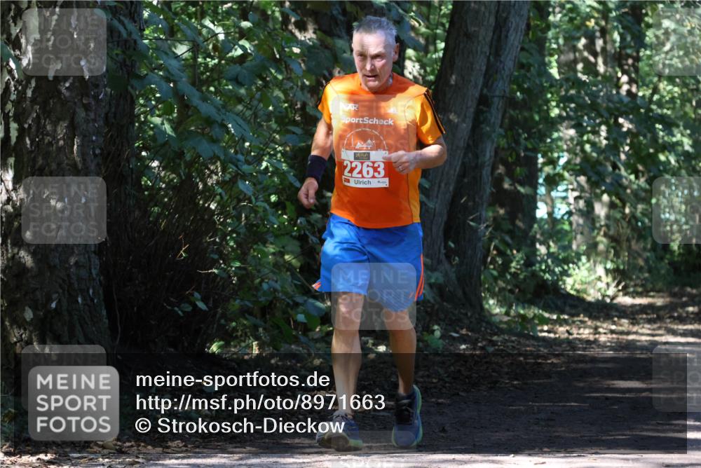 28.09.2025 - 33. Volkslauf durch das schöne Alstertal Strokosch-Dieckow http://msf.ph/oto/8971663 28.09.2025 12:18:24 Laufen 2263 meine-sportfotos.de