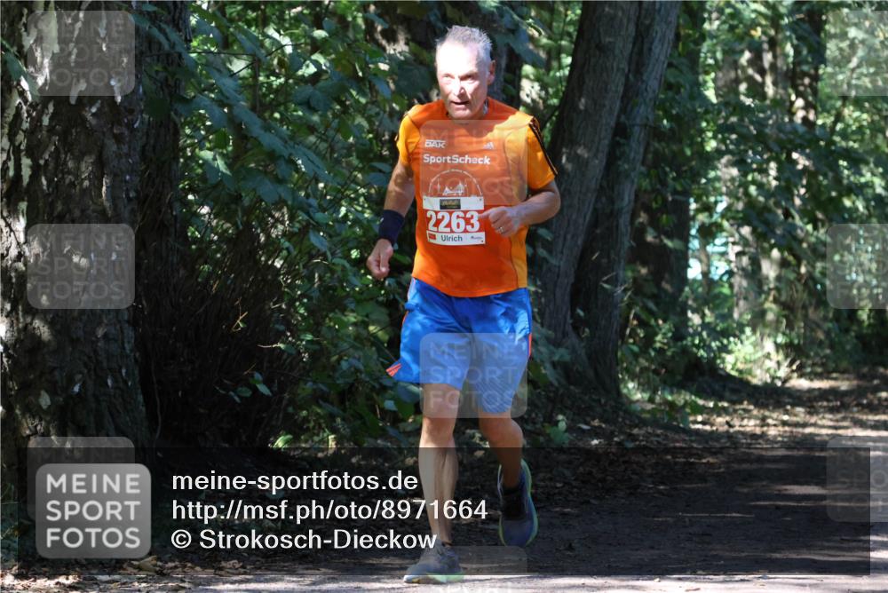 28.09.2025 - 33. Volkslauf durch das schöne Alstertal Strokosch-Dieckow http://msf.ph/oto/8971664 28.09.2025 12:18:24 Laufen 2263 meine-sportfotos.de