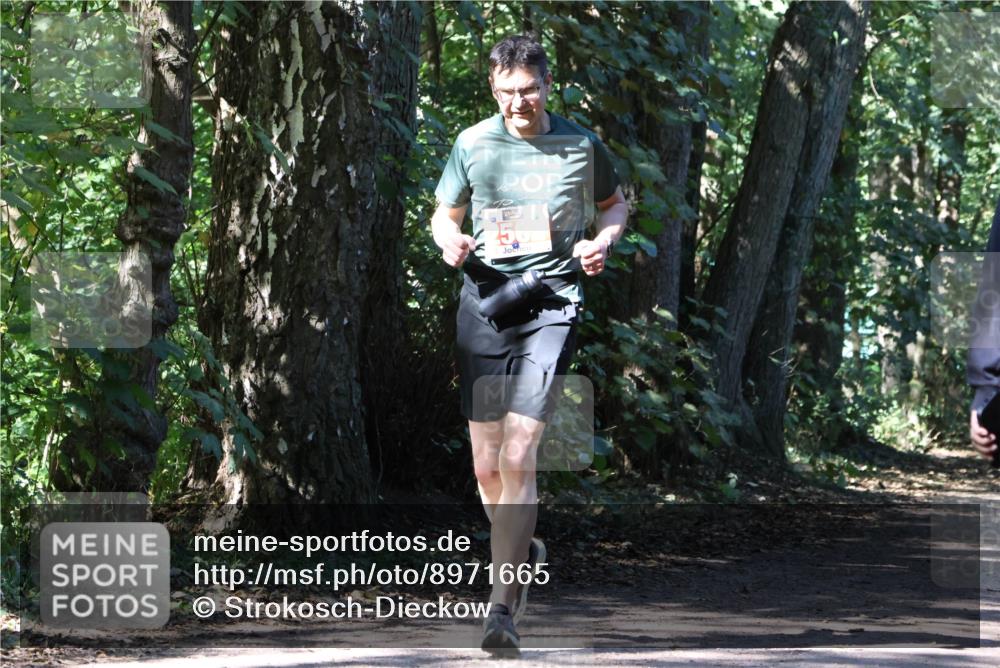 28.09.2025 - 33. Volkslauf durch das schöne Alstertal Strokosch-Dieckow http://msf.ph/oto/8971665 28.09.2025 12:18:39 Laufen  meine-sportfotos.de