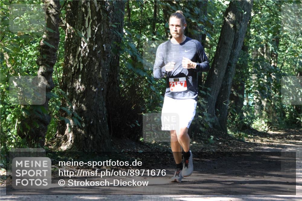 28.09.2025 - 33. Volkslauf durch das schöne Alstertal Strokosch-Dieckow http://msf.ph/oto/8971676 28.09.2025 12:18:44 Laufen 2157 meine-sportfotos.de