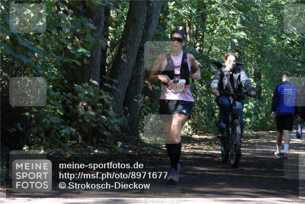 28.09.2025 - 33. Volkslauf durch das schöne Alstertal Strokosch-Dieckow http://msf.ph/oto/8971677 28.09.2025 12:18:52 Laufen 2090 meine-sportfotos.de