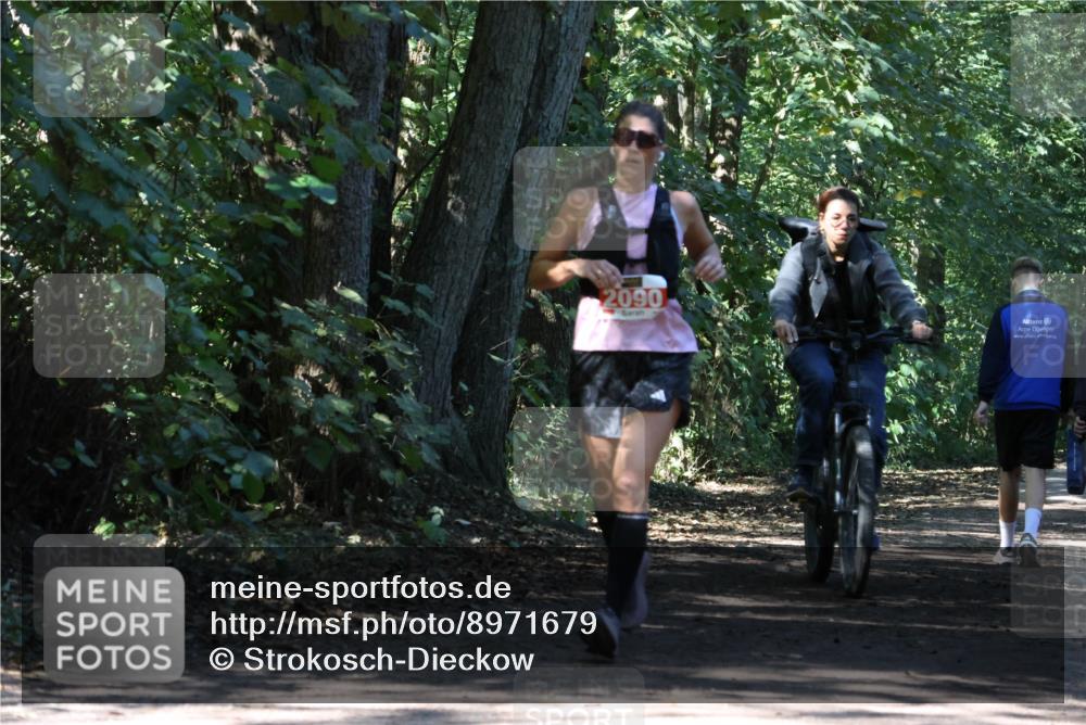 28.09.2025 - 33. Volkslauf durch das schöne Alstertal Strokosch-Dieckow http://msf.ph/oto/8971679 28.09.2025 12:18:52 Laufen 2090 meine-sportfotos.de