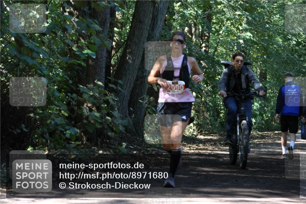 28.09.2025 - 33. Volkslauf durch das schöne Alstertal Strokosch-Dieckow http://msf.ph/oto/8971680 28.09.2025 12:18:52 Laufen 2090 meine-sportfotos.de