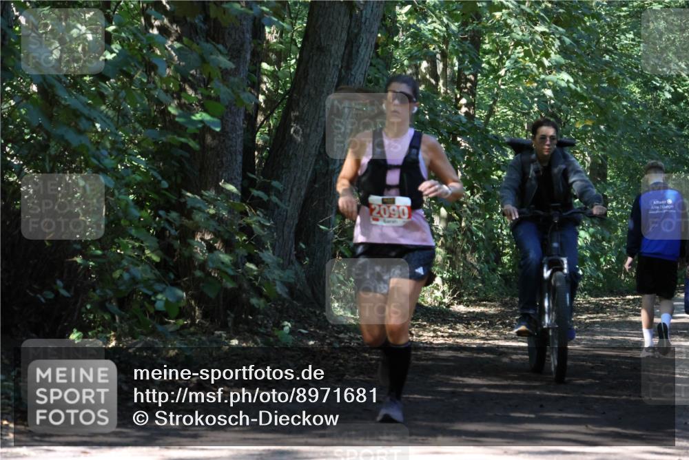 28.09.2025 - 33. Volkslauf durch das schöne Alstertal Strokosch-Dieckow http://msf.ph/oto/8971681 28.09.2025 12:18:52 Laufen 2090 meine-sportfotos.de
