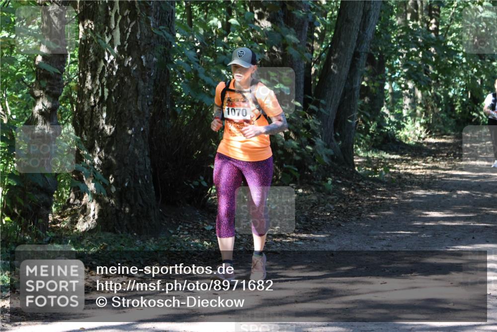 28.09.2025 - 33. Volkslauf durch das schöne Alstertal Strokosch-Dieckow http://msf.ph/oto/8971682 28.09.2025 12:19:09 Laufen 1070 meine-sportfotos.de