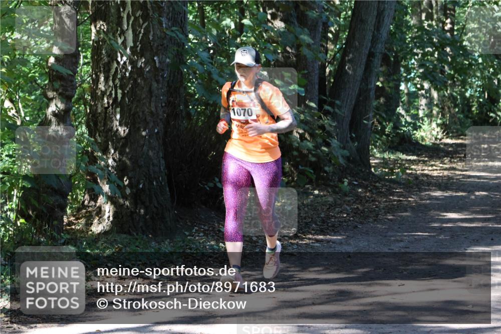 28.09.2025 - 33. Volkslauf durch das schöne Alstertal Strokosch-Dieckow http://msf.ph/oto/8971683 28.09.2025 12:19:09 Laufen 1070 meine-sportfotos.de
