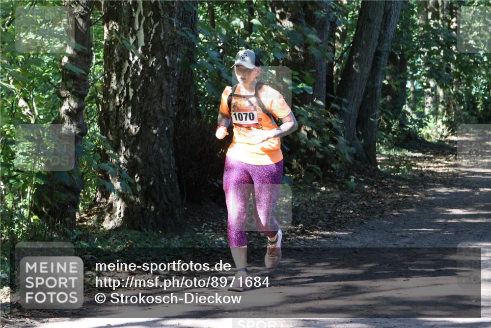 28.09.2025 - 33. Volkslauf durch das schöne Alstertal Strokosch-Dieckow http://msf.ph/oto/8971684 28.09.2025 12:19:09 Laufen 1070 meine-sportfotos.de
