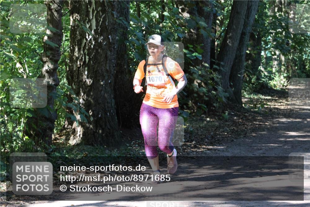 28.09.2025 - 33. Volkslauf durch das schöne Alstertal Strokosch-Dieckow http://msf.ph/oto/8971685 28.09.2025 12:19:10 Laufen 1070 meine-sportfotos.de