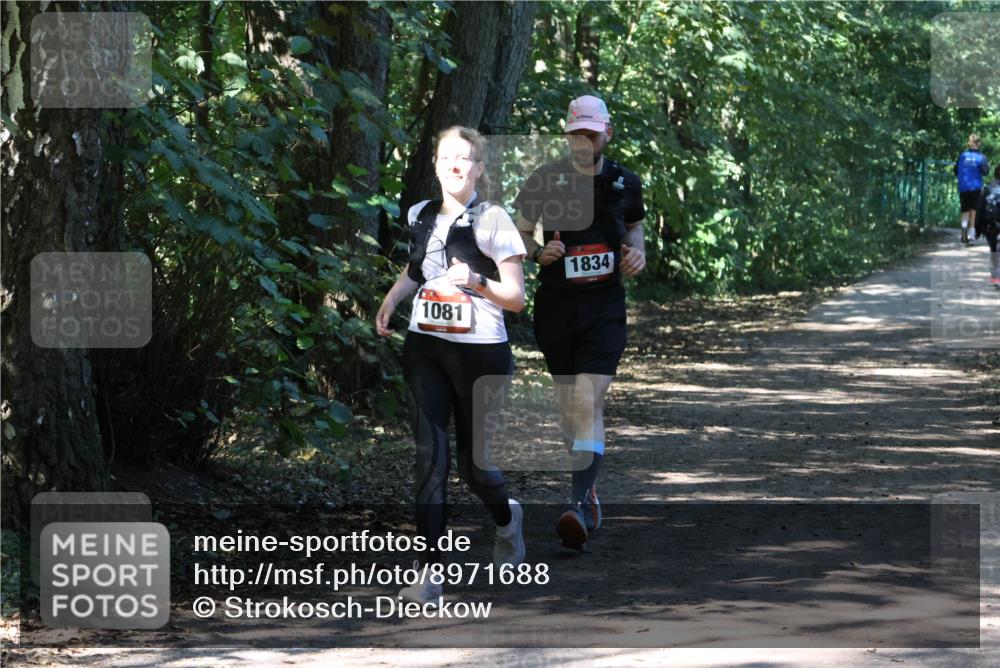 28.09.2025 - 33. Volkslauf durch das schöne Alstertal Strokosch-Dieckow http://msf.ph/oto/8971688 28.09.2025 12:19:17 Laufen 1081, 1834 meine-sportfotos.de