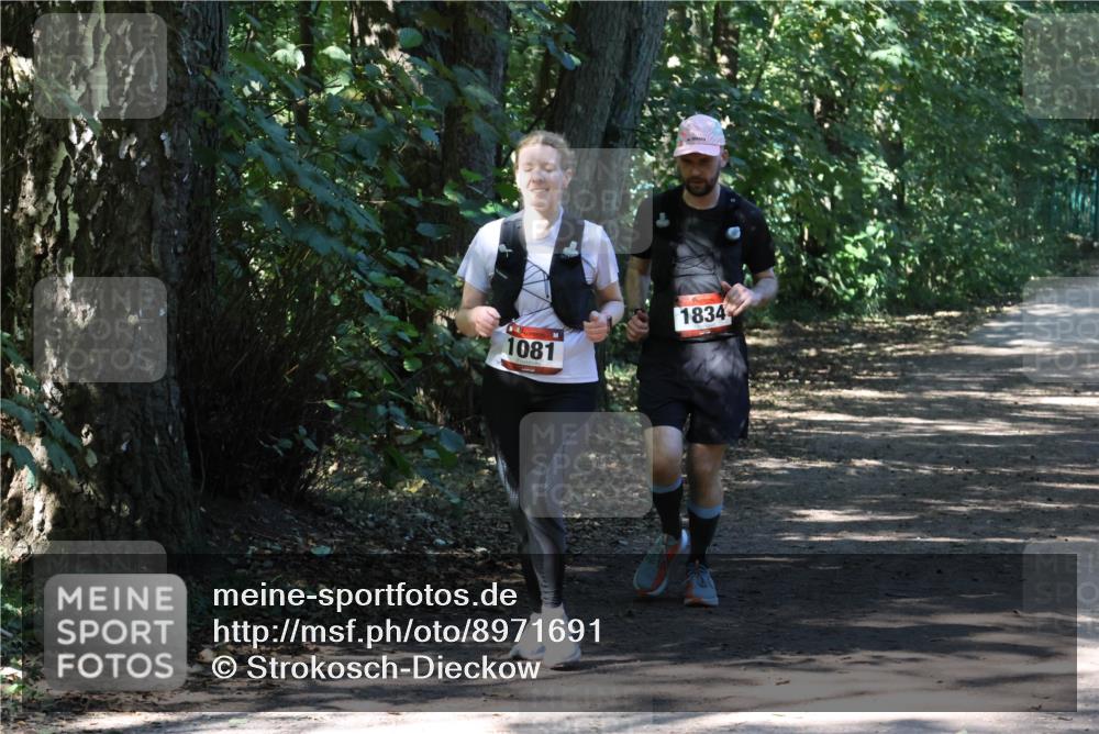28.09.2025 - 33. Volkslauf durch das schöne Alstertal Strokosch-Dieckow http://msf.ph/oto/8971691 28.09.2025 12:19:17 Laufen 1081, 1834 meine-sportfotos.de