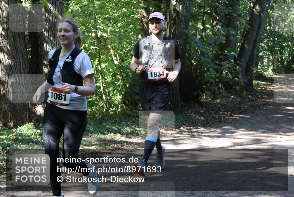 28.09.2025 - 33. Volkslauf durch das schöne Alstertal Strokosch-Dieckow http://msf.ph/oto/8971693 28.09.2025 12:19:20 Laufen 1081, 1834 meine-sportfotos.de