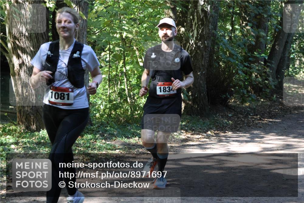 28.09.2025 - 33. Volkslauf durch das schöne Alstertal Strokosch-Dieckow http://msf.ph/oto/8971697 28.09.2025 12:19:20 Laufen 1081, 1834 meine-sportfotos.de
