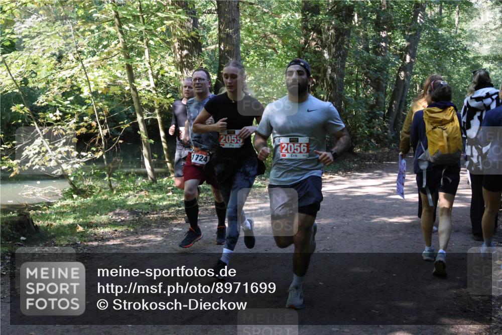 28.09.2025 - 33. Volkslauf durch das schöne Alstertal Strokosch-Dieckow http://msf.ph/oto/8971699 28.09.2025 12:20:03 Laufen 1724, 2055, 2056 meine-sportfotos.de