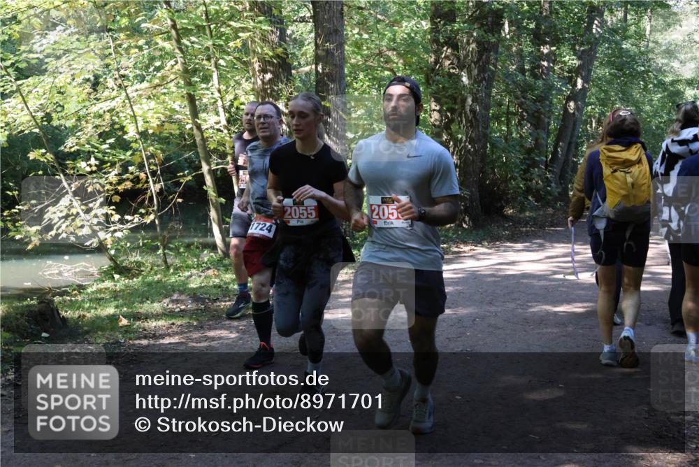 28.09.2025 - 33. Volkslauf durch das schöne Alstertal Strokosch-Dieckow http://msf.ph/oto/8971701 28.09.2025 12:20:03 Laufen 1724, 2055, 205 meine-sportfotos.de