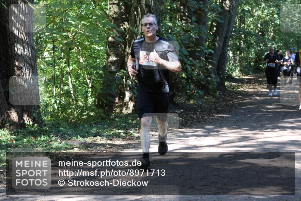 28.09.2025 - 33. Volkslauf durch das schöne Alstertal Strokosch-Dieckow http://msf.ph/oto/8971713 28.09.2025 12:20:15 Laufen 228, 1080 meine-sportfotos.de