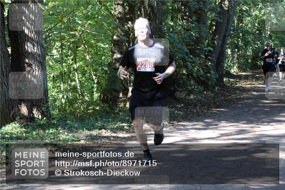 28.09.2025 - 33. Volkslauf durch das schöne Alstertal Strokosch-Dieckow http://msf.ph/oto/8971715 28.09.2025 12:20:16 Laufen 2288, 1080 meine-sportfotos.de
