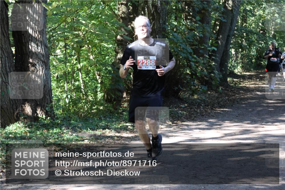 28.09.2025 - 33. Volkslauf durch das schöne Alstertal Strokosch-Dieckow http://msf.ph/oto/8971716 28.09.2025 12:20:16 Laufen 2288, 1080 meine-sportfotos.de