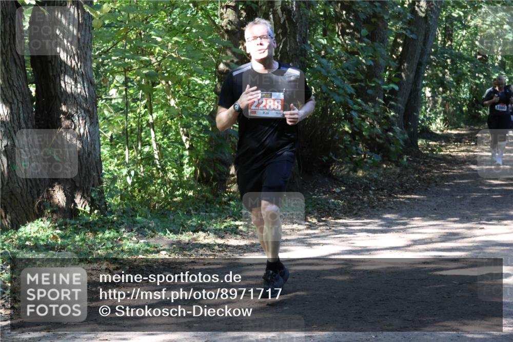 28.09.2025 - 33. Volkslauf durch das schöne Alstertal Strokosch-Dieckow http://msf.ph/oto/8971717 28.09.2025 12:20:16 Laufen 2288, 1080 meine-sportfotos.de