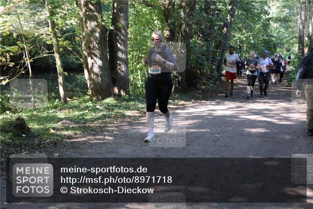 28.09.2025 - 33. Volkslauf durch das schöne Alstertal Strokosch-Dieckow http://msf.ph/oto/8971718 28.09.2025 12:20:24 Laufen 1080, 1750, 1097, 2632 meine-sportfotos.de