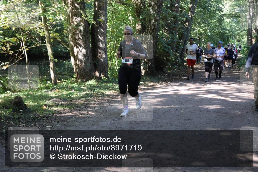 28.09.2025 - 33. Volkslauf durch das schöne Alstertal Strokosch-Dieckow http://msf.ph/oto/8971719 28.09.2025 12:20:24 Laufen 1080, 1750, 1097 meine-sportfotos.de