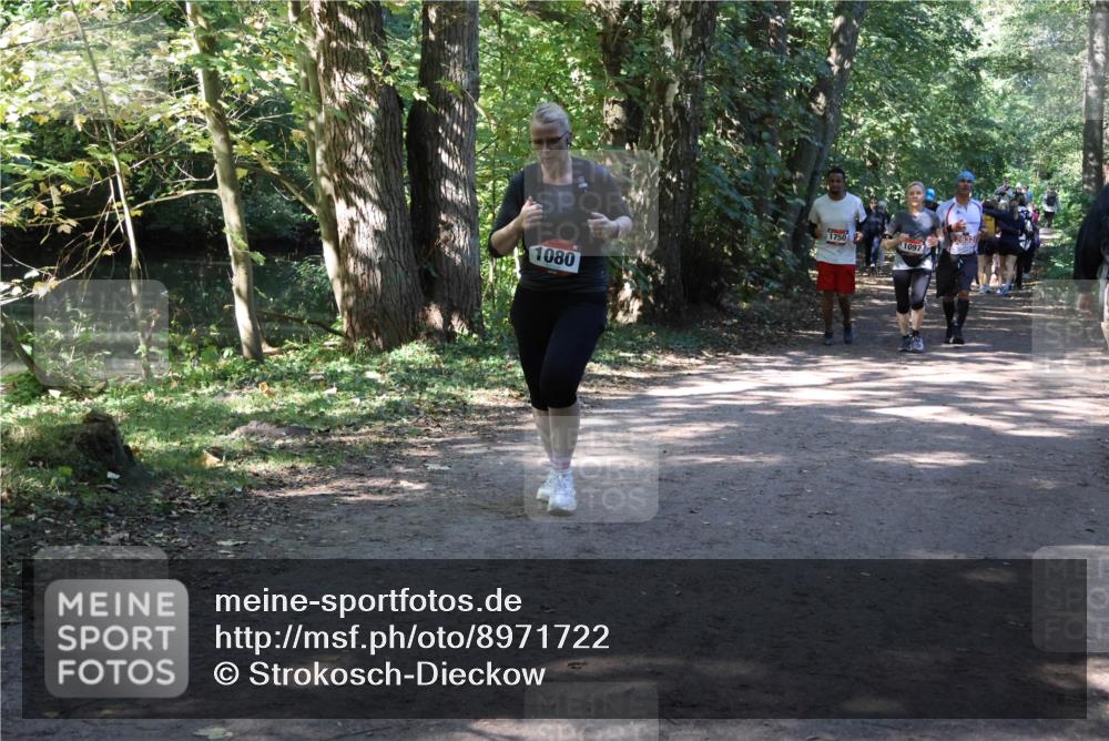 28.09.2025 - 33. Volkslauf durch das schöne Alstertal Strokosch-Dieckow http://msf.ph/oto/8971722 28.09.2025 12:20:25 Laufen 1080, 1750, 2632, 1097 meine-sportfotos.de