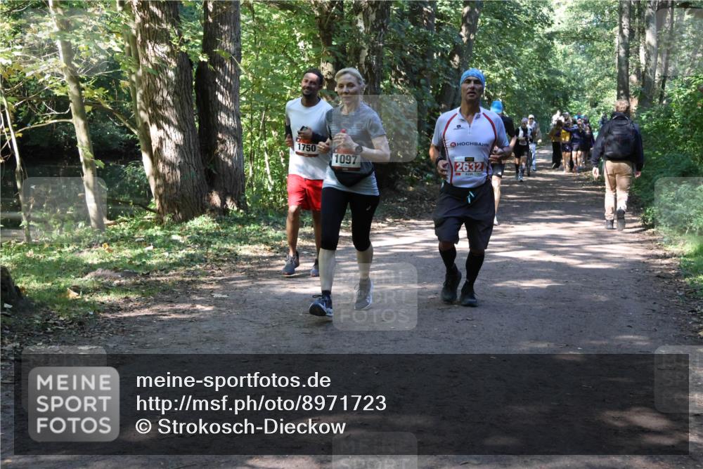 28.09.2025 - 33. Volkslauf durch das schöne Alstertal Strokosch-Dieckow http://msf.ph/oto/8971723 28.09.2025 12:20:29 Laufen 1750, 1097, 2632 meine-sportfotos.de
