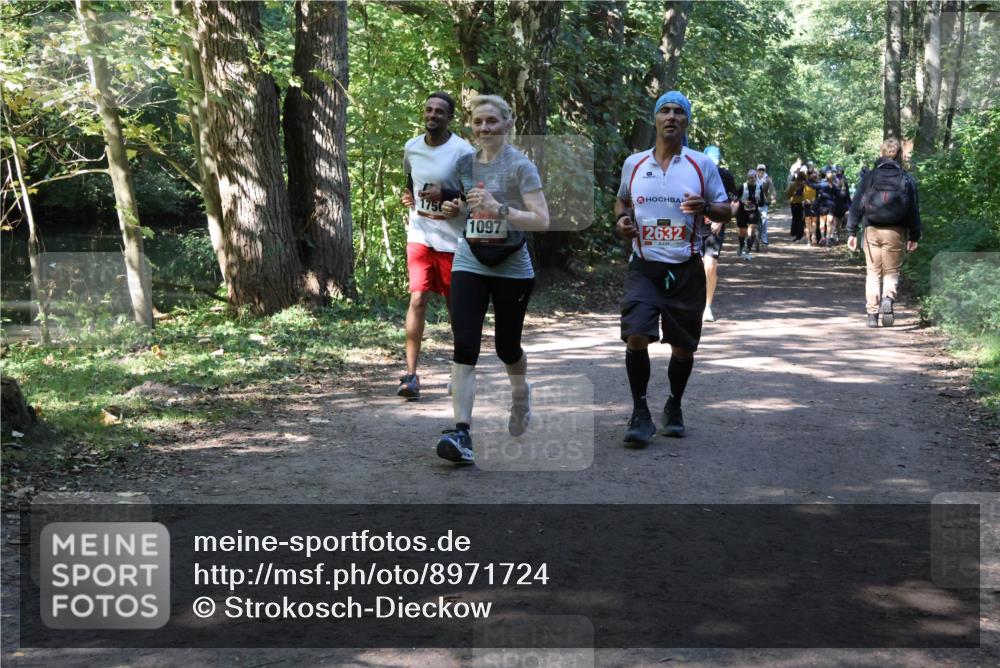 28.09.2025 - 33. Volkslauf durch das schöne Alstertal Strokosch-Dieckow http://msf.ph/oto/8971724 28.09.2025 12:20:29 Laufen 1097, 2632 meine-sportfotos.de