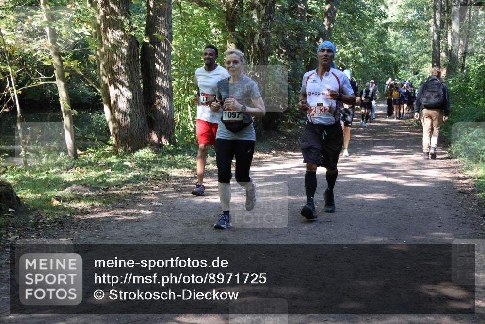 28.09.2025 - 33. Volkslauf durch das schöne Alstertal Strokosch-Dieckow http://msf.ph/oto/8971725 28.09.2025 12:20:29 Laufen 9, 1097, 2632 meine-sportfotos.de