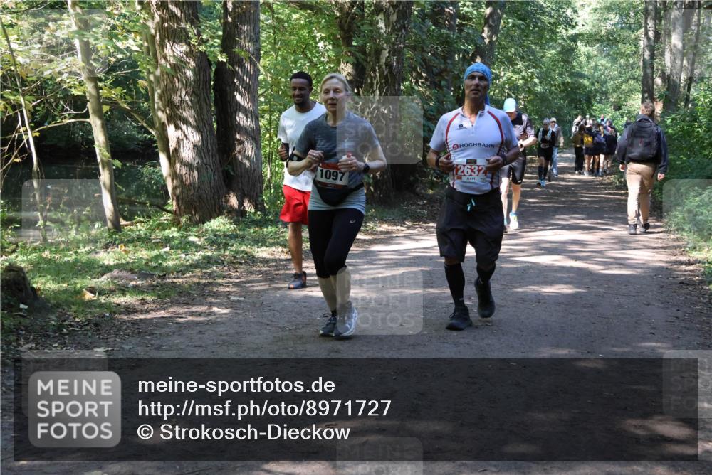 28.09.2025 - 33. Volkslauf durch das schöne Alstertal Strokosch-Dieckow http://msf.ph/oto/8971727 28.09.2025 12:20:29 Laufen 1097, 2632 meine-sportfotos.de