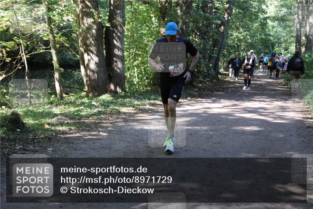 28.09.2025 - 33. Volkslauf durch das schöne Alstertal Strokosch-Dieckow http://msf.ph/oto/8971729 28.09.2025 12:20:32 Laufen 2457 meine-sportfotos.de