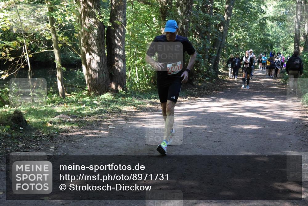 28.09.2025 - 33. Volkslauf durch das schöne Alstertal Strokosch-Dieckow http://msf.ph/oto/8971731 28.09.2025 12:20:32 Laufen 2457 meine-sportfotos.de