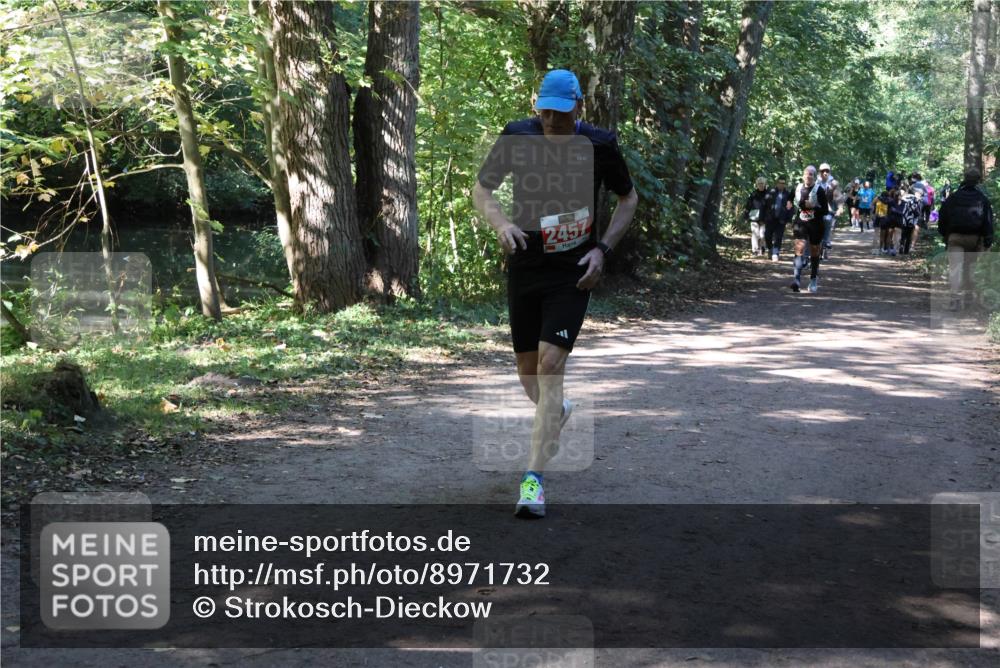 28.09.2025 - 33. Volkslauf durch das schöne Alstertal Strokosch-Dieckow http://msf.ph/oto/8971732 28.09.2025 12:20:32 Laufen 2457 meine-sportfotos.de