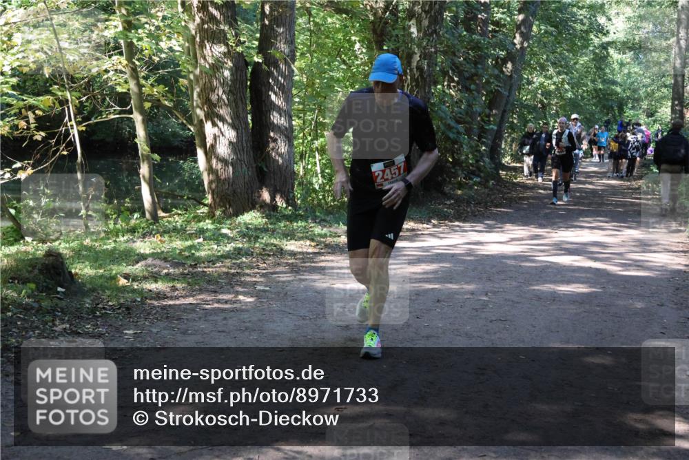 28.09.2025 - 33. Volkslauf durch das schöne Alstertal Strokosch-Dieckow http://msf.ph/oto/8971733 28.09.2025 12:20:32 Laufen 2457 meine-sportfotos.de